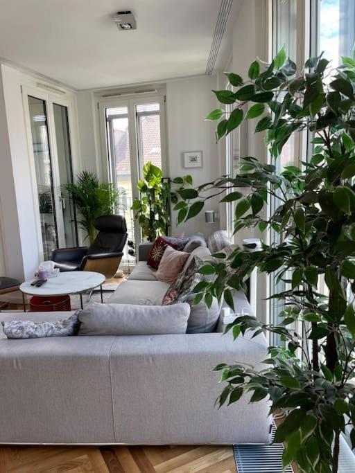 Apartment Penthouse *