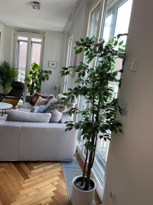 Appartement Penthouse *